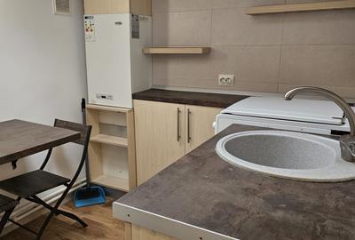 Apartament 1 camera de inchiriat in vila, zona Centru-Primarie - 12
