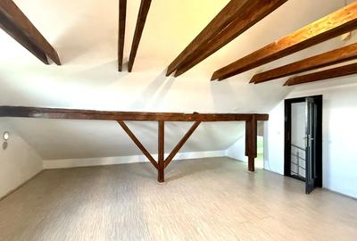 DUPLEX LA INTRARE IN MOSNITA NOUA - 10