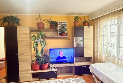 GARII apartament 2 camere etaj 3, bloc izolat, mobilat si utilat! - 17