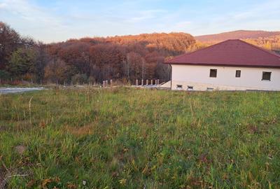 Teren de vânzare 1000 mp – Sălicea, Ciurila (doar 15 minute de Cluj-Napoca) - 3