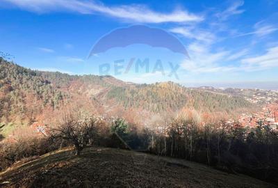 Teren Colinar Panoramic – 17.684 mp în Scheii Brașovului - 14