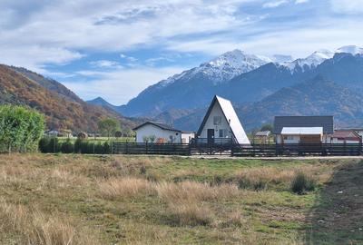 Teren 1000mp cu PUZ in Rasnov, Glajerie - 5