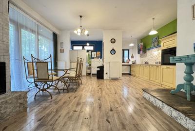 De vanzare casa 5 camere 145mp utili + 300mp curte- Baneasa- Herastrau - 11