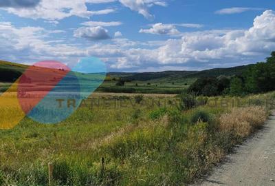 Teren intravilan 17400mp Campenesti - 1