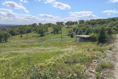 Teren intravilan de vanzare in Paleu, Bihor - 4