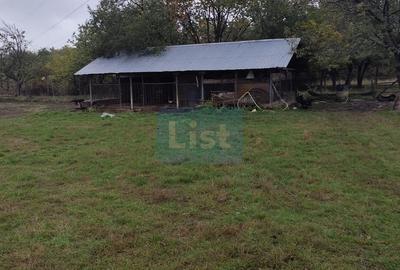 VIla de vanzare Teisani Stubeiu 11250 mp - 9