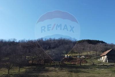 Teren intravilan de 23600 mp, în Inuri