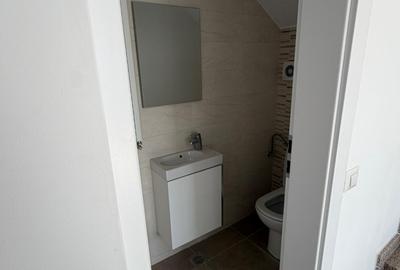 Parcul Carol-Sos Viilor - duplex 3 camere- terasa - 16