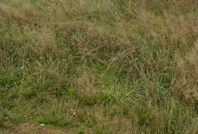 Teren Intravilan ptr case 28.15 ari cu utilitati zona strazii Dobrogeanu Gherea - 3