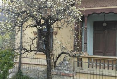 Conac autentic cu arhitectură deosebită!Proprietate cu caracter și teren 7.817mp - 5