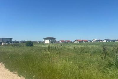 Loturi teren 500 m P+1+M Berceni - Vidra Actele la zi Puz valabil - 4