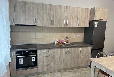 Apartament la casa cu curte si gradina, garaj, langa parcul Subarini