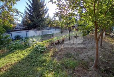 Casa cu teren | 600 MP | 130.000 EURO - 13