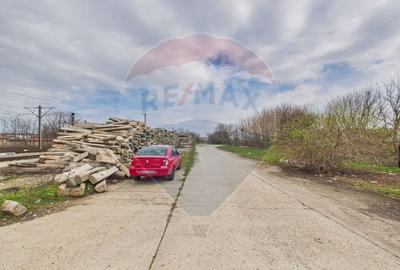 Spațiu industrial de vanzare 7950mp Lehliu Gara acces DN3+A2 - 16