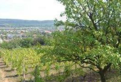 Teren, 3.000 mp ALBA, AIUD - 2