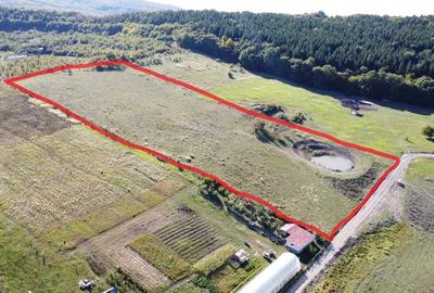 De vânzare teren extravilan – 1,8 ha sigmir - 4