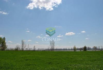 Oportunitate investitionala | Ferma piscicola 233 ha | Calarasi - 5