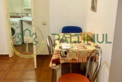 Apartament 1 camera de inchiriat Sibiu - 3