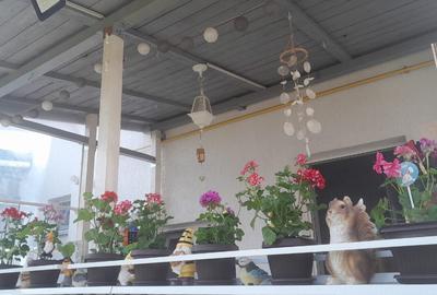 Casa tip duplex 3 camere+mansarda/mobilat și utilat - 3