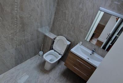 FLORILOR - 3 camere PENTHOUSE in cartierul Florilor, zona Gemenii, 188.000 E - 12