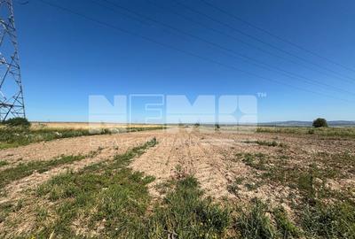 Teren intravilan | 1300 MP | 1000€  arul - 2