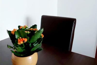 INCHIRIERE APARTAMENT 2 CAMERE DRUMUL TABEREI  SECTOR 6 COMISION 0 - 6