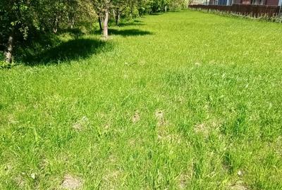 Casa noua tip vila cu 6 apartamente, P+2E, 1500 mp teren, Buna Ziua - 8