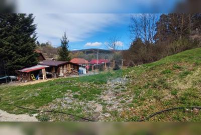 COMISION 0%! Casă 140 mp util, teren 4500 mp, PET FRIENDLY, Micești - 38