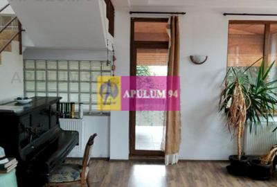 Vila Spatioasa Bucuresti - 4