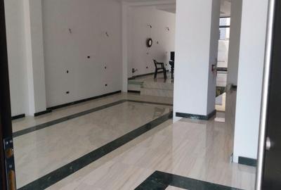 Imobil modern de închiriat D+ P+2E – zona Tei, aproape de Floreasca - 3