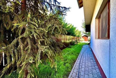 Casa de inchiriat în Calea Aradului - 28