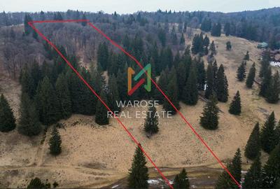 Teren investitie Poiana Brasov | Stana Turistica | 22.388 MP