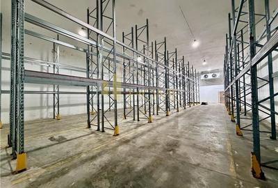 Hale noi cu refrigerare, 500 mp, acces TIR, Nord, Ploiesti - 7