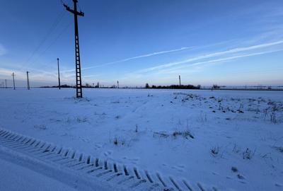 Vand Teren Extravilan Becicherecu Mic(zona industriala) 18.000mp,Utilitati - 6