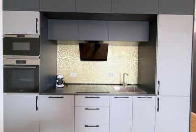Apartament 2 camere de închiriat – Paltim, Timișoara - 16