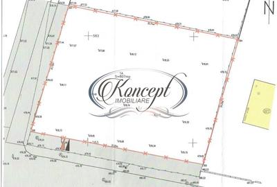 Teren duplex, cu PUZ aprobat in Buna Ziua - 5