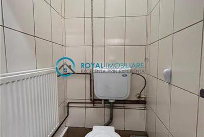 Royal Imobiliare - Spatiu industrial - service auto - 12