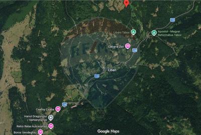 Vânzare teren extravilan, 4 ha pădure, zona turistică Liban, Harghita - 9