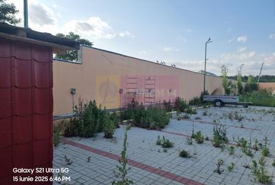 VANZARE CASA OASPETI + ANEXE IN  SAT TEISORI (JUD. GIURGIU) - 14
