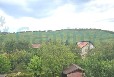 Casa de inchiriat cu 5 dormitoare in zona Gheorghe Doja - 14