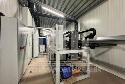 Spatiu industrial frigorific | 1200 mp | 8 m inaltime | 6000 mp teren - 7
