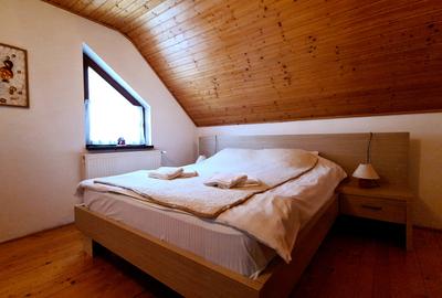 CASA VILA DE VIS PE VALEA DOBARLAULUI - JUD. COVASNA - 12