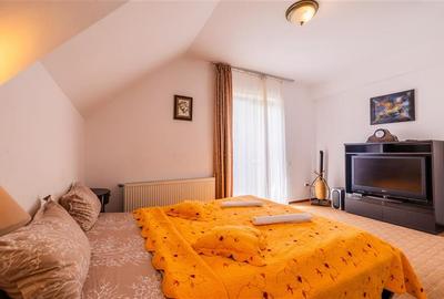 FILM! Pensiune turistica+Casa+transfer afacere+teren,Cheile Rasnoavei,Brasov - 12