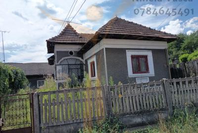 CASA  PITOREASCA DE VANZARE BRANESTI - DAMBOVITA - 1
