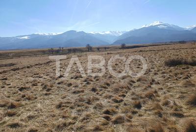 Teren agricol extravilan de 1000 mp, în Gura Văii