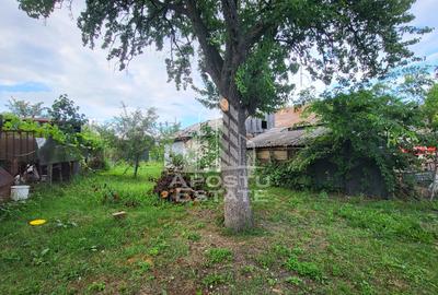 Casa individuala 3camere si teren de 1487 mp Bogdanestilor - 13