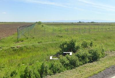 Vindem 10 Ha teren,fosta livadă de afine,Sintea Mare,Arad Oportunitate Unica