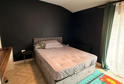 Casa insiruita zona Sesu de Sus - 16