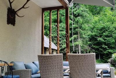 3 Cabane 15 camere 275 mp-teren 1020 mp-ciubar-foisor-Colibita - 1