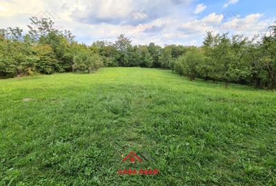 ●Teren intravilan in Poiana Campina,zona retrasa,3287 mp,10e● - 4